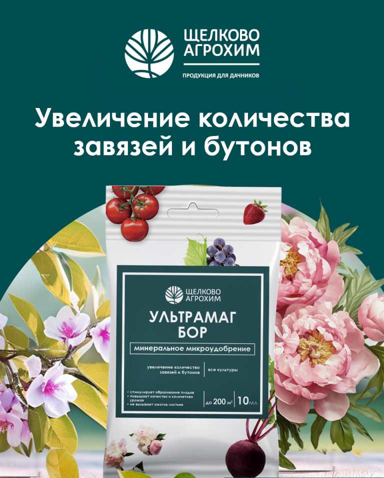 Ультрамаг Бор
